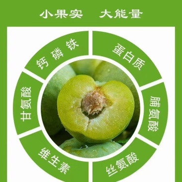 【热卖推荐】重庆精品脱骨脆李自家一手货源产地现货先发量大