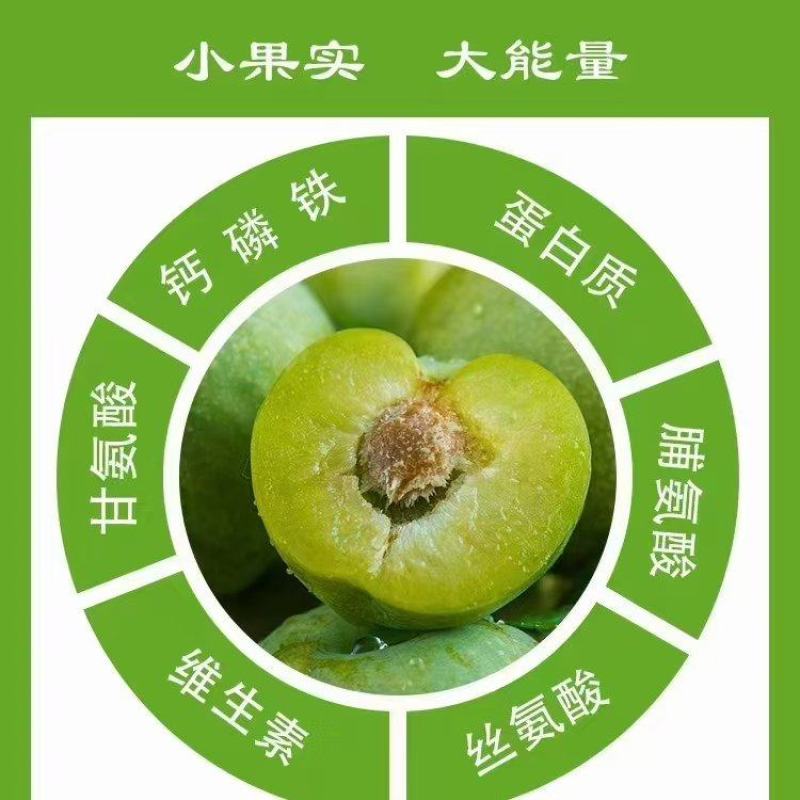 【热卖推荐】重庆精品脱骨脆李自家一手货源产地现货先发量大