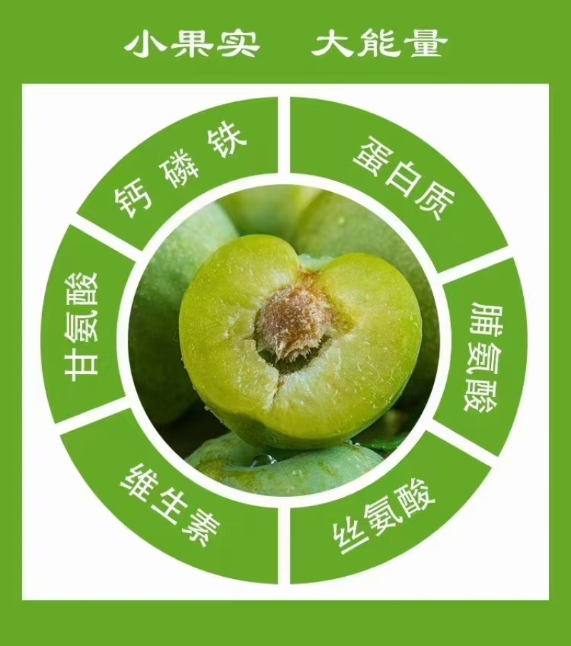 【热卖推荐】重庆精品脱骨脆李自家一手货源产地现货先发量大