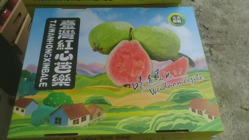 红，白芭乐礼盒装
