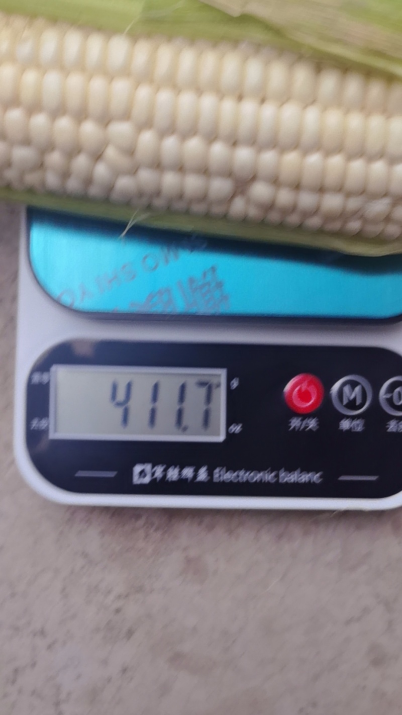 万糯2000玉米行唐产地直销对接电商商超支持