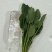 菠菜，青菜，内蒙菠菜