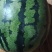 甜王西瓜便宜了，***********