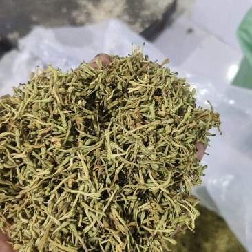 精品贵州安龙金银花花苞未开生晒无硫纯野生，欢迎咨询
