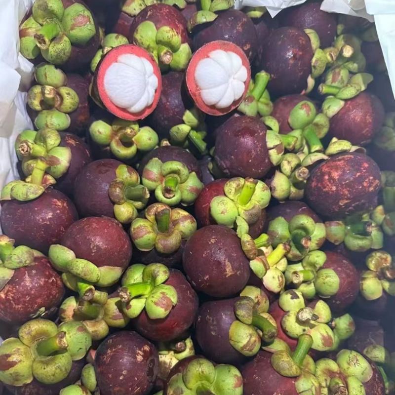 山竹