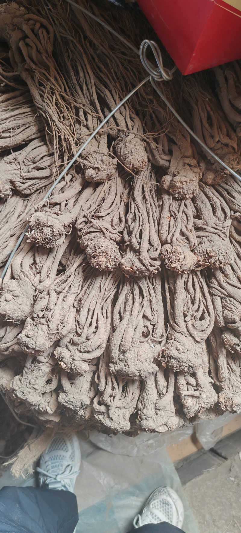 甘肃岷县当归片当归条，产地直发，品质保证，欢迎老板来电洽谈