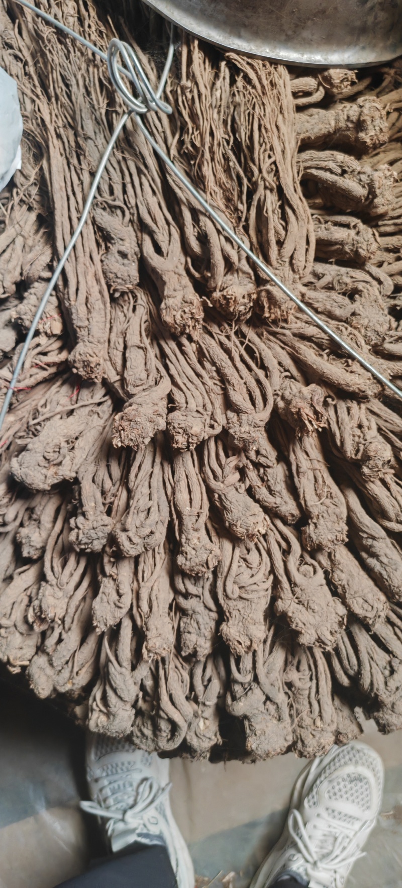 甘肃岷县当归片当归条，产地直发，品质保证，欢迎老板来电洽谈