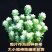 新款串珠彩虹玉坠奶油玉坠雪花玉坠锦阳台办公室净化空气盆栽