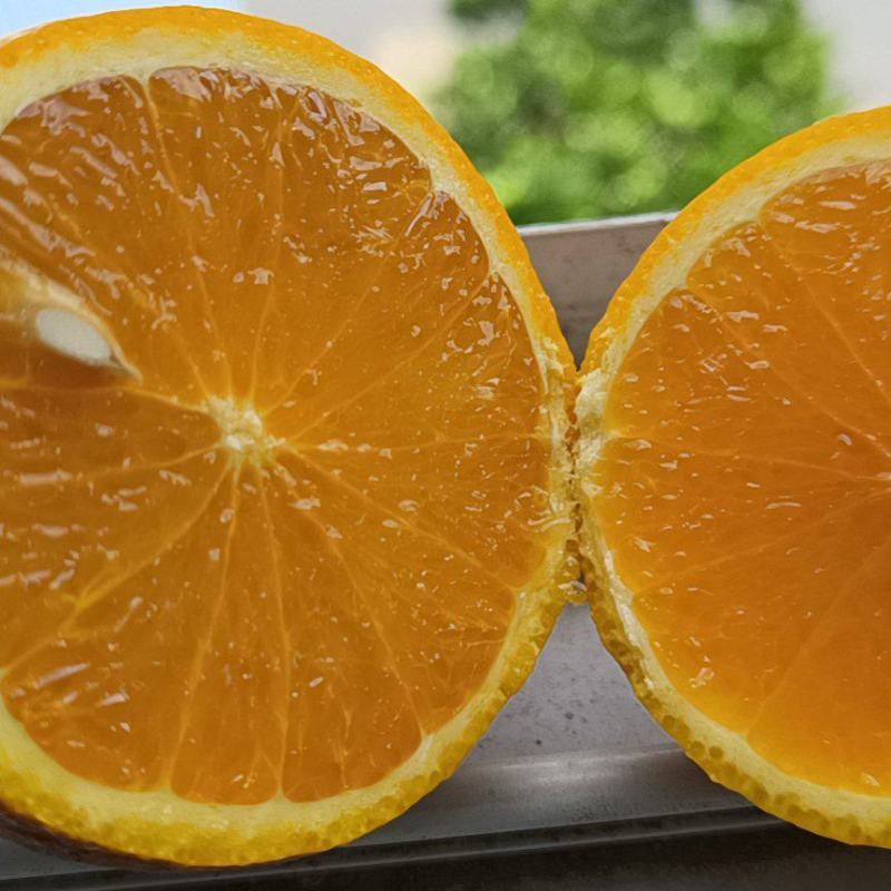 夏橙橙子秭归脐橙产地一手货源