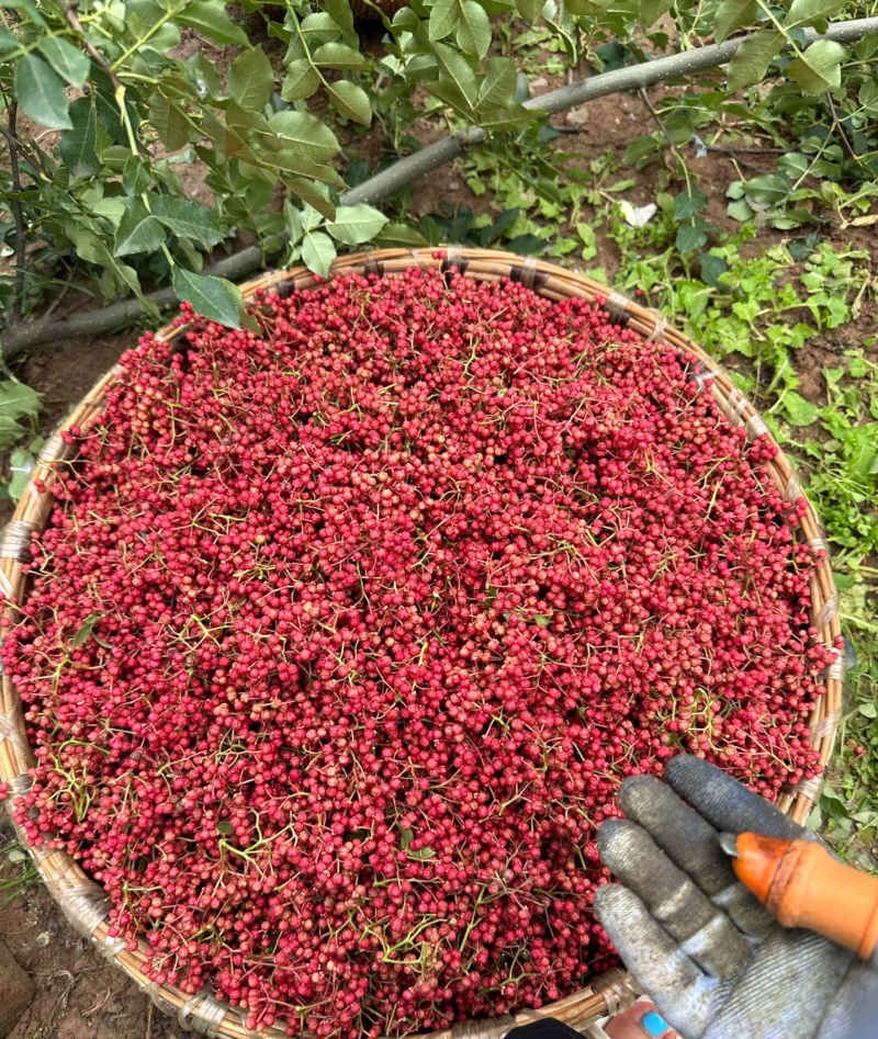 花椒