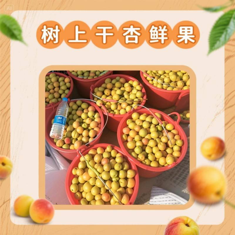 吊死干小红杏