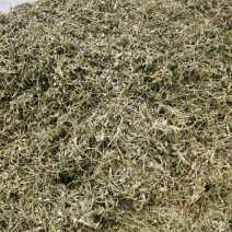 灵香草正宗云南灵香草欢迎各大老板前来选购