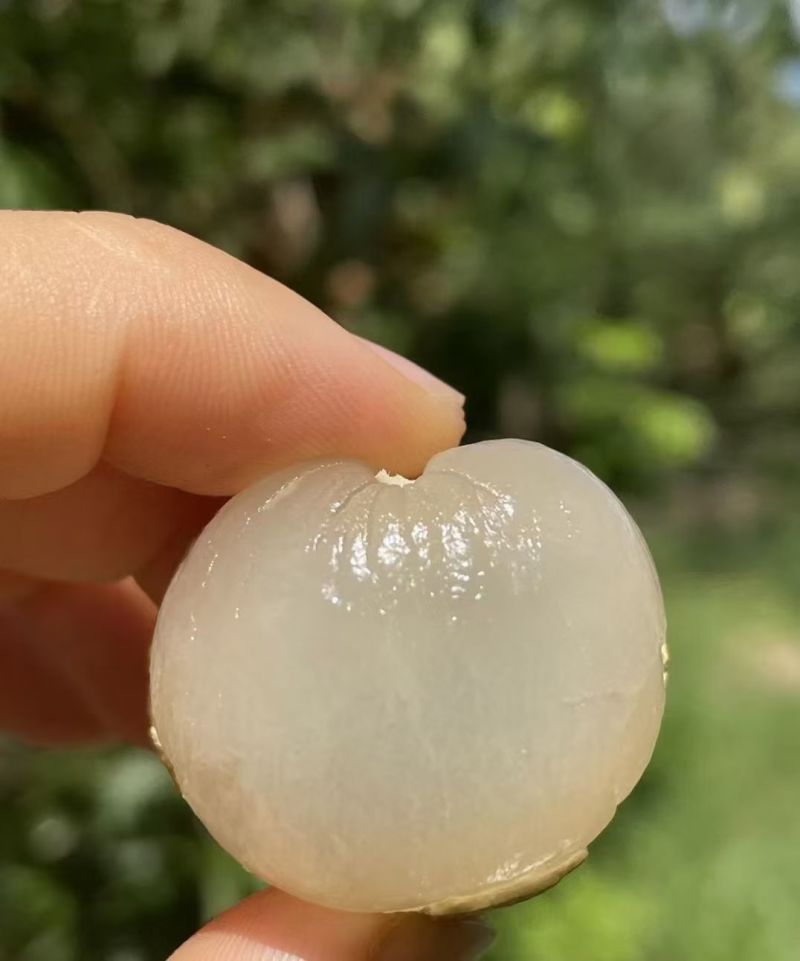 代办龙眼