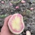 七彩原生态花心土豆