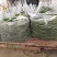 四川达州精品二荆条辣椒产地发货一手货源批发品质保证价格美