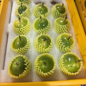 送礼百香果