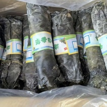海带卷剪头去尾干海带贴心卷海带干卷海带团卷产地发给货