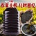 【精品】纯正菜籽油产地直发对接商超电商大量供应