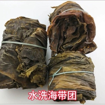 水洗海带团海带捆海带球海带皮海带干海带卷海带产地直接发货