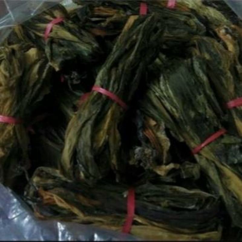 水洗海带团海带捆海带球海带皮海带干海带卷海带产地直接发货
