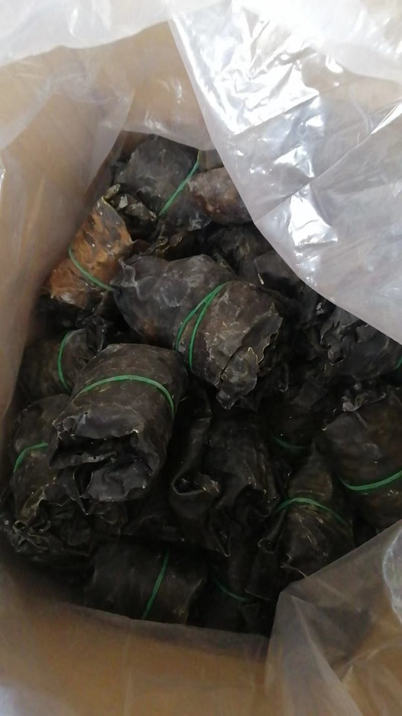 水洗海带团海带捆海带球海带皮海带干海带卷海带产地直接发货