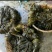水洗海带团海带捆海带球海带皮海带干海带卷海带产地直接发货