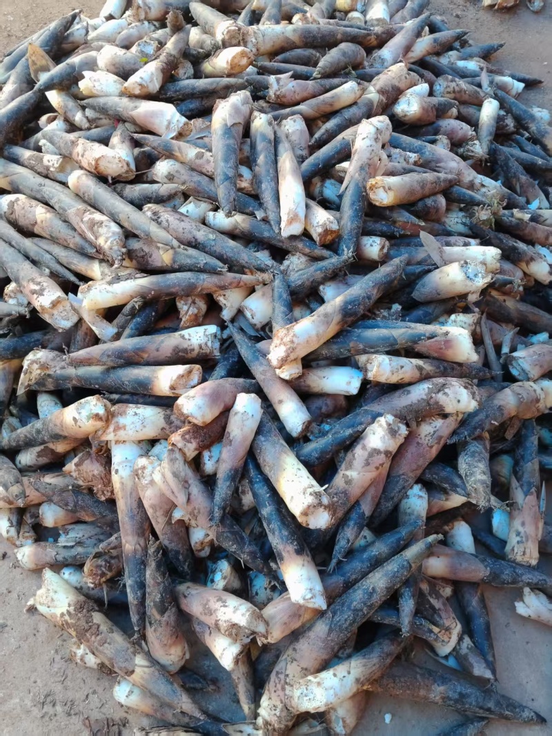 手剥笋，香辣味，泡椒味，老汤味，可以调配各地方口味