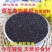 【牛商优选】精品油菜籽大量供应一手货源视频看货