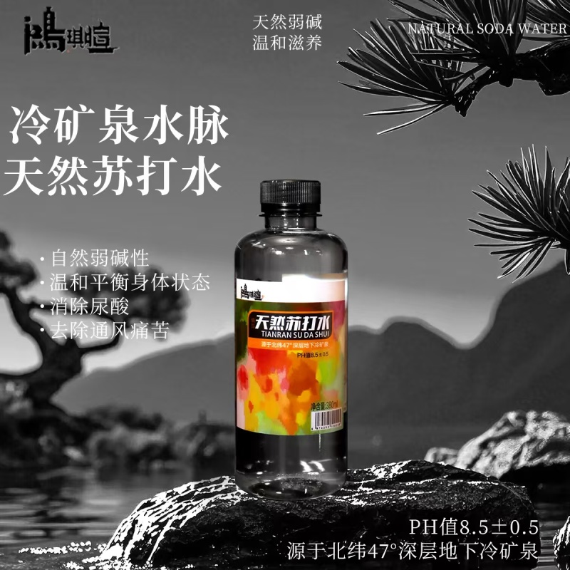 鸿琪暄天然苏打水，北纬47°沉睡千年地下水