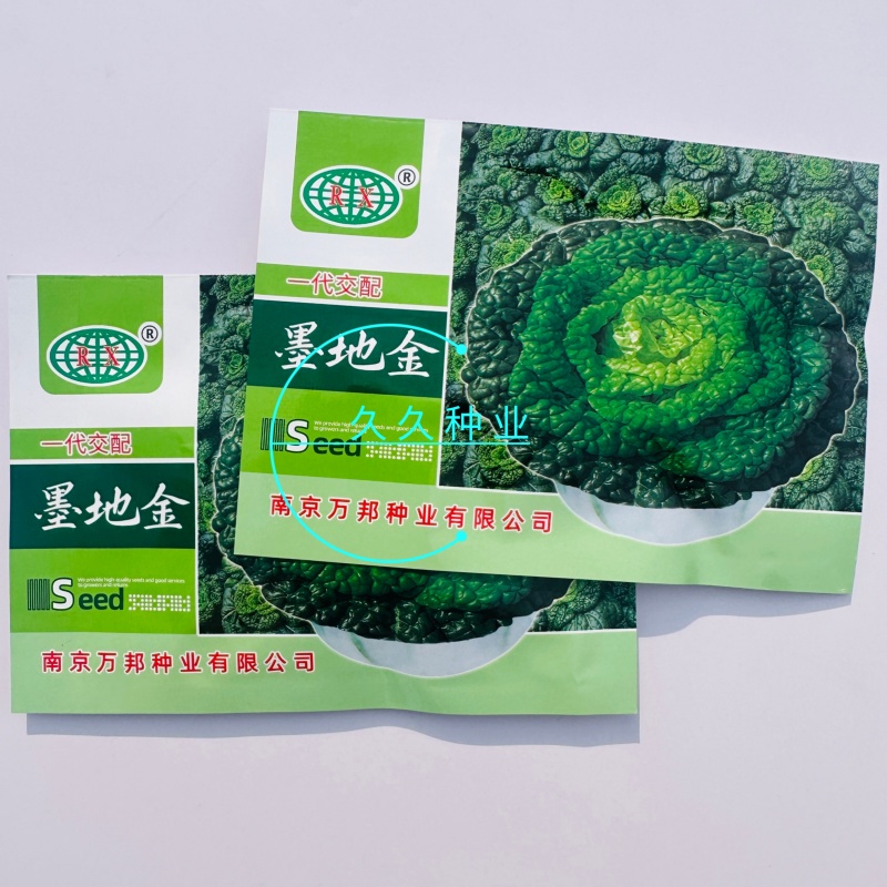 墨地金乌塌菜种子白菜黄心乌秋冬季播种菜籽种小八叶黑菜