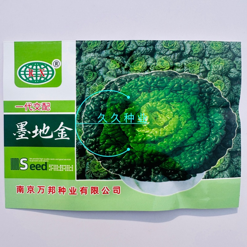 墨地金乌塌菜种子白菜黄心乌秋冬季播种菜籽种小八叶黑菜
