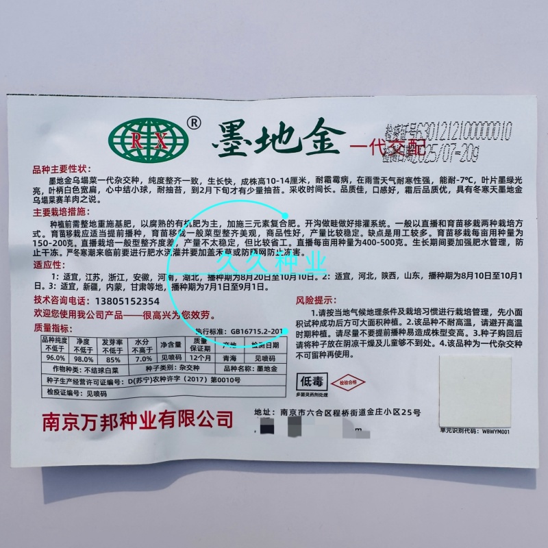 墨地金乌塌菜种子白菜黄心乌秋冬季播种菜籽种小八叶黑菜