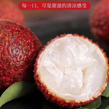 海南无核荔枝批发价全国发货
