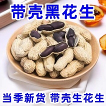 包邮）2025新货山东黑皮花生紫皮农家带壳晒干新鲜批发