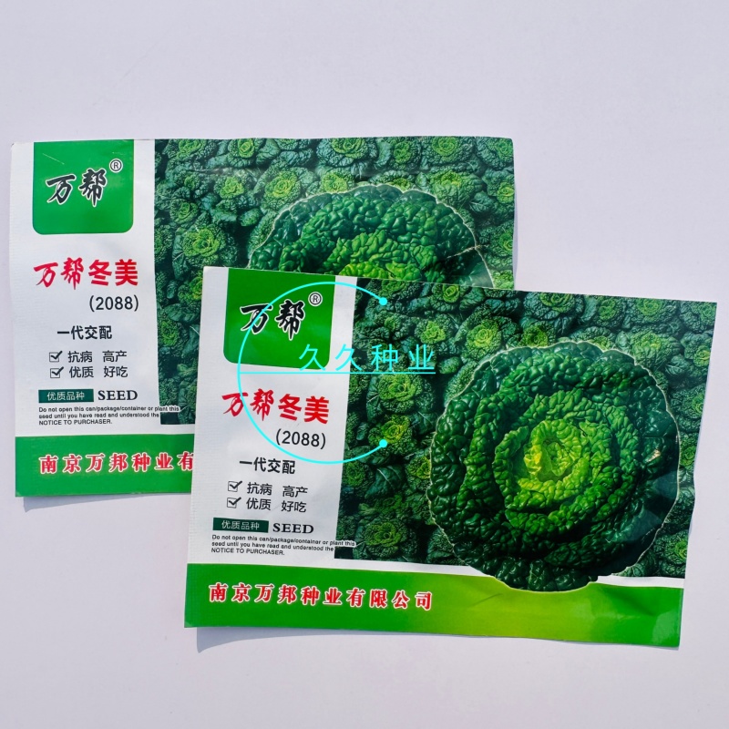 万邦冬美乌塌菜种子乌塔菜蔬菜种孑耐寒秋季四季播菜种盆