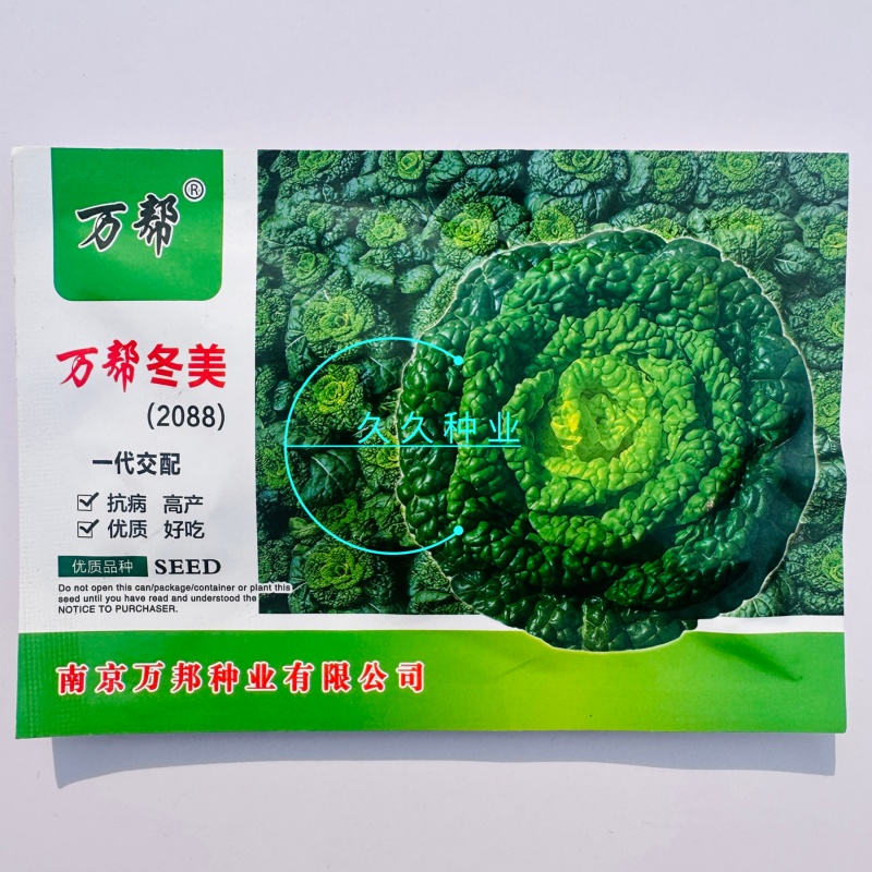万邦冬美乌塌菜种子乌塔菜蔬菜种孑耐寒秋季四季播菜种盆