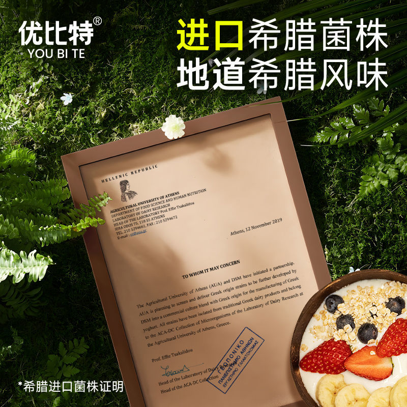 优比特希腊酸奶发酵菌粉批发商用自制网红冷萃干噎酸奶进口益生菌