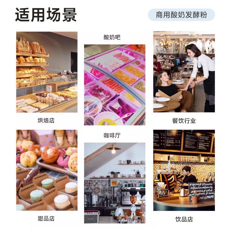 优比特希腊酸奶发酵菌粉批发商用自制网红冷萃干噎酸奶进口益生菌