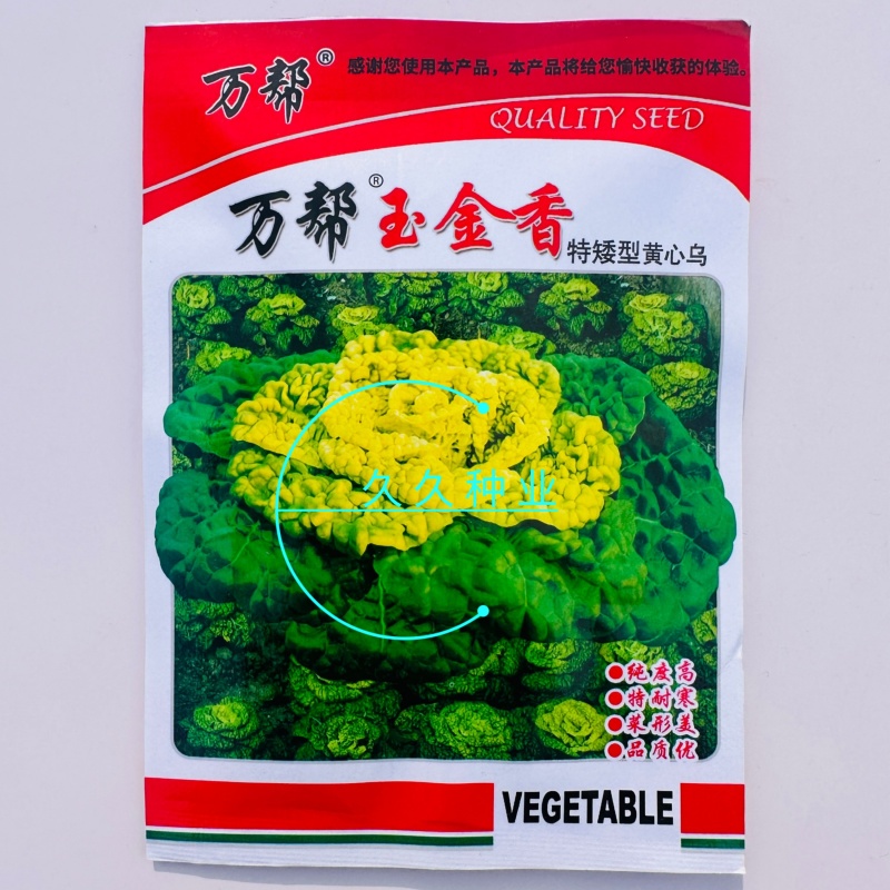 万帮玉金香黄心乌塌菜种子黄心菜菊花心菜白菜农家四季