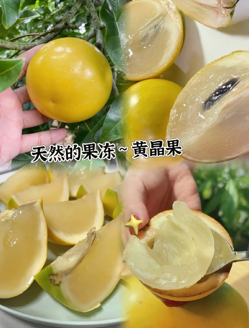 黄晶果雅美果基地一手货源可空运落地配市场整车批发一件代发