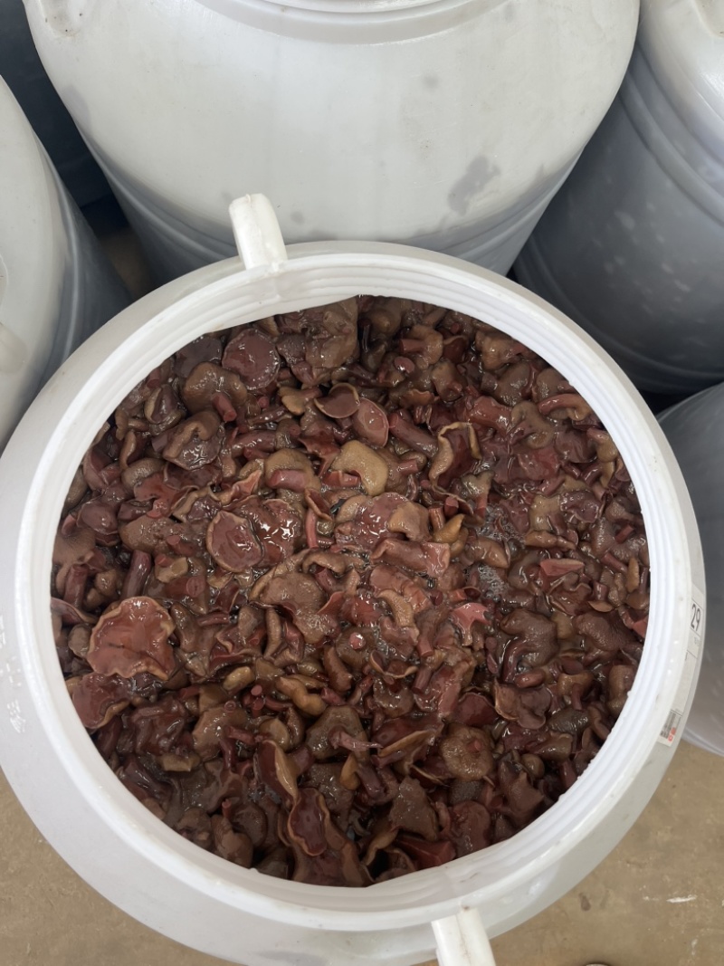 红乳牛肝菌盐渍品野生盐水红乳产地直销批发餐饮专用