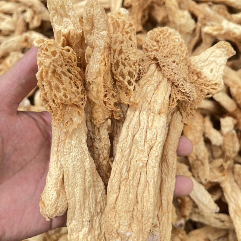 红托竹荪织金竹荪野生竹无硫干品产地直销批发餐饮直供