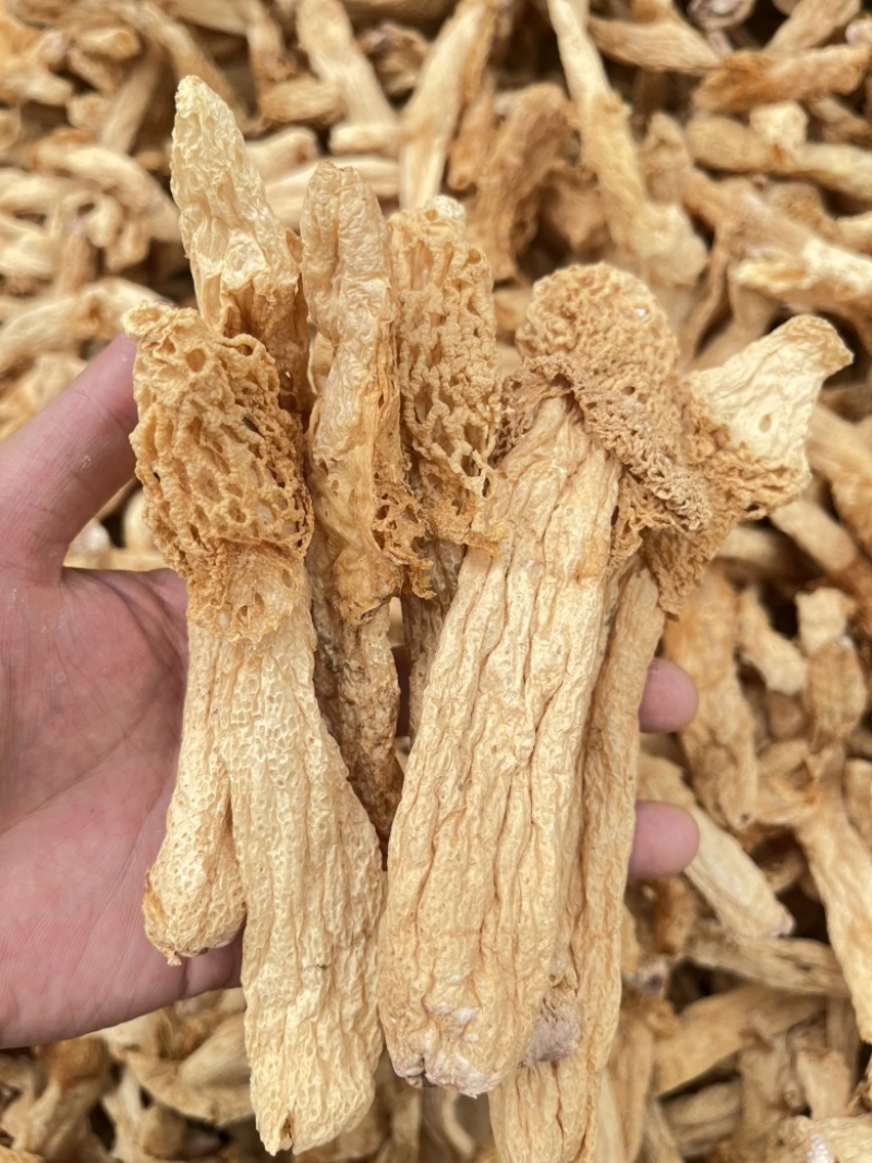 红托竹荪织金竹荪野生竹无硫干品产地直销批发餐饮直供