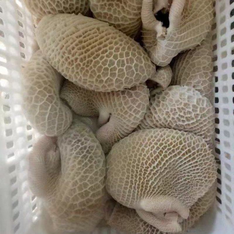 国产牛副产品（牛小肠，大肠，牛肚，百叶，牛肺等）