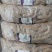 国产牛副产品（牛小肠，大肠，牛肚，百叶，牛肺等）