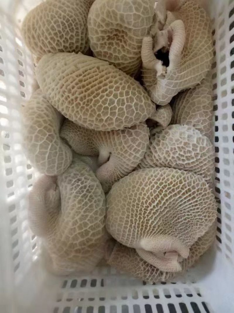 国产牛副产品（牛小肠，大肠，牛肚，百叶，牛肺等）