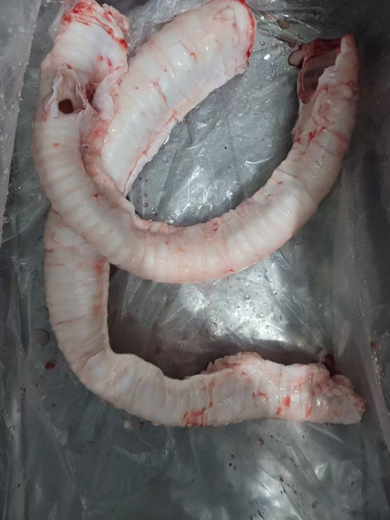 国产牛副产品（牛小肠，大肠，牛肚，百叶，牛肺等）