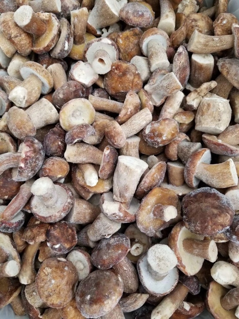 野生美味牛肝菌白牛肝菌冻品大腿菇产地现货直销批发
