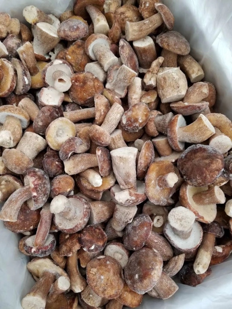 野生美味牛肝菌白牛肝菌冻品大腿菇产地现货直销批发