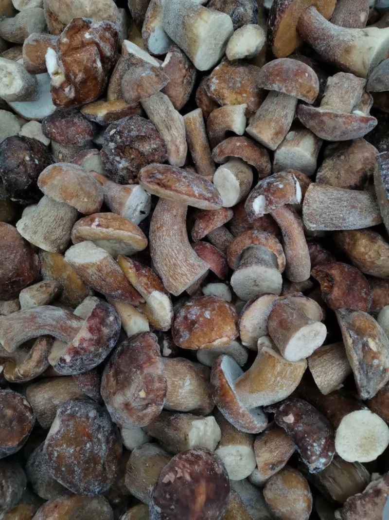 野生美味牛肝菌白牛肝菌冻品大腿菇产地现货直销批发